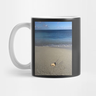 From Antigua with Love Mug